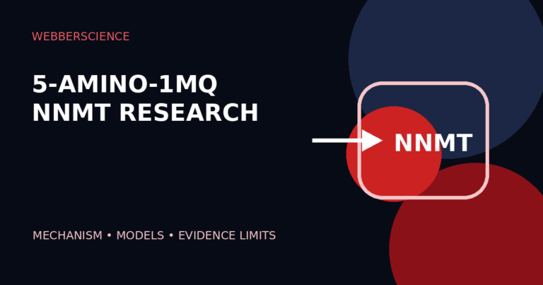 5-Amino-1MQ NNMT research mechanism and evidence illustration