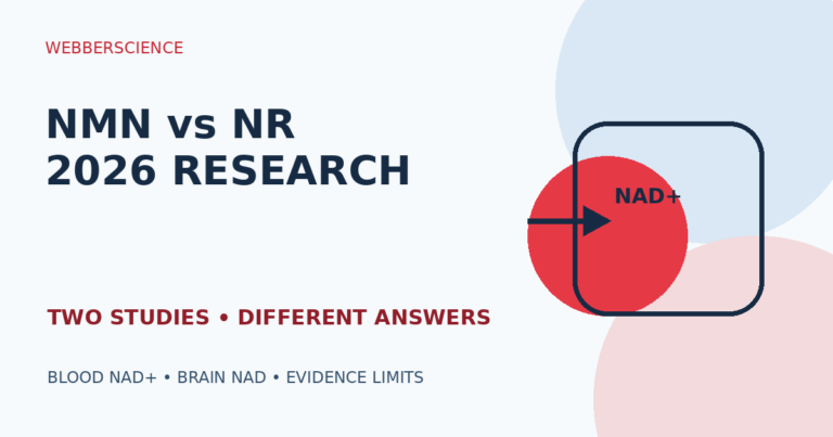 NMN versus NR 2026 head-to-head NAD+ research illustration
