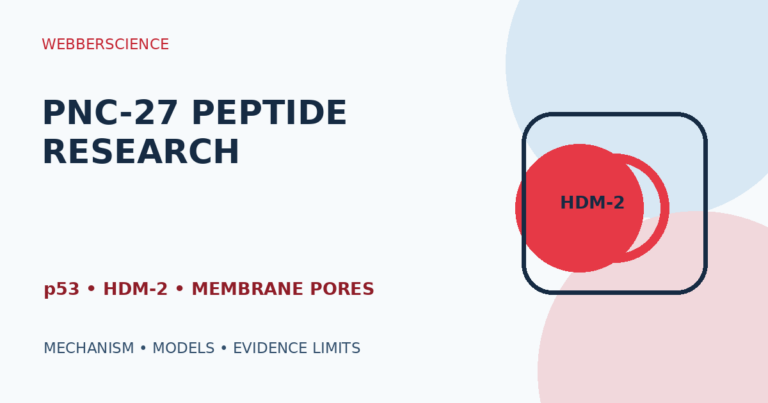 PNC-27 p53 HDM-2 membrane mechanism and evidence illustration